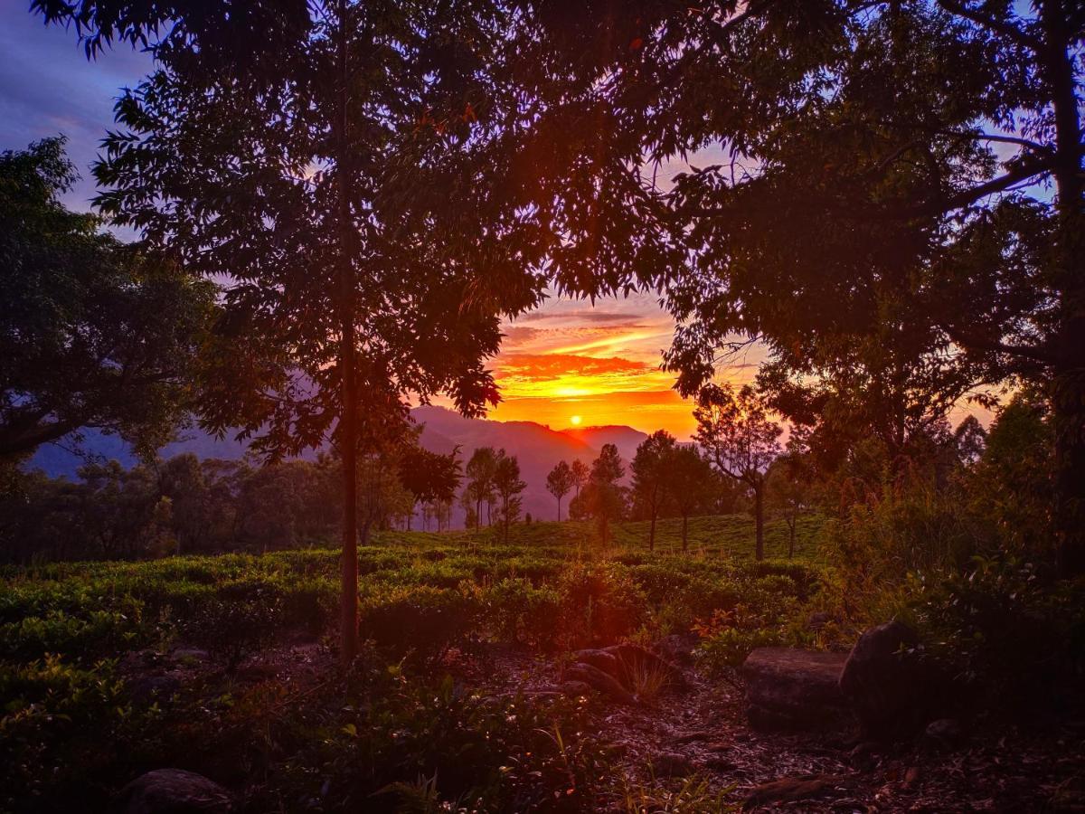 Eco Lodge Haputale-Camping Sri lanka Bagian luar foto