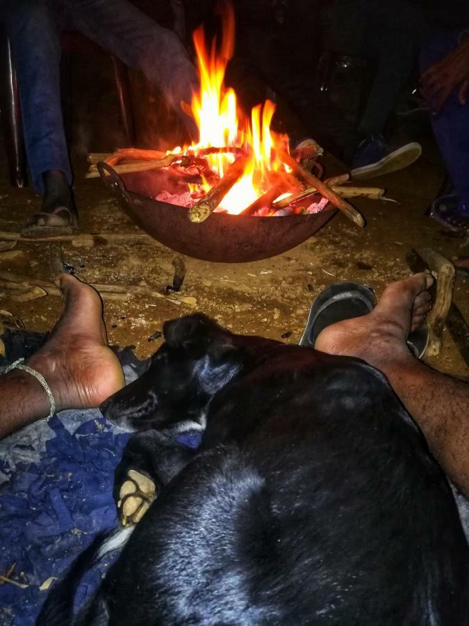 Eco Lodge Haputale-Camping Sri lanka Bagian luar foto