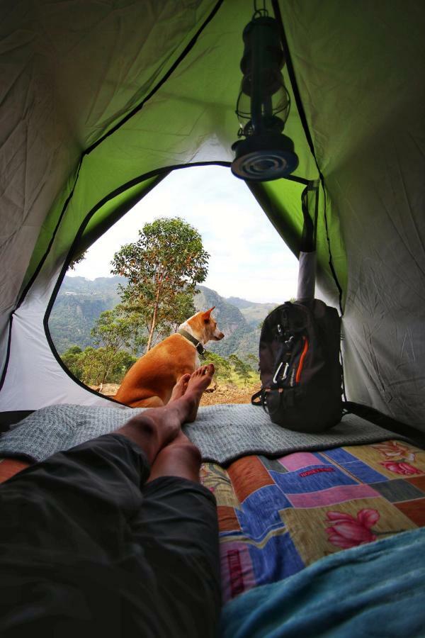 Eco Lodge Haputale-Camping Sri lanka Bagian luar foto