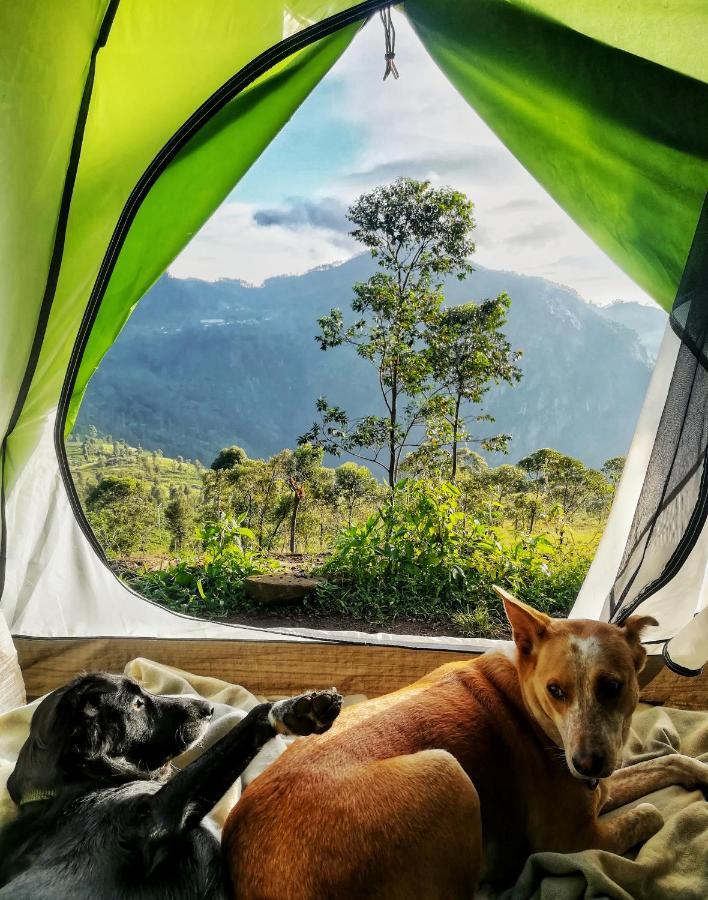 Eco Lodge Haputale-Camping Sri lanka Bagian luar foto